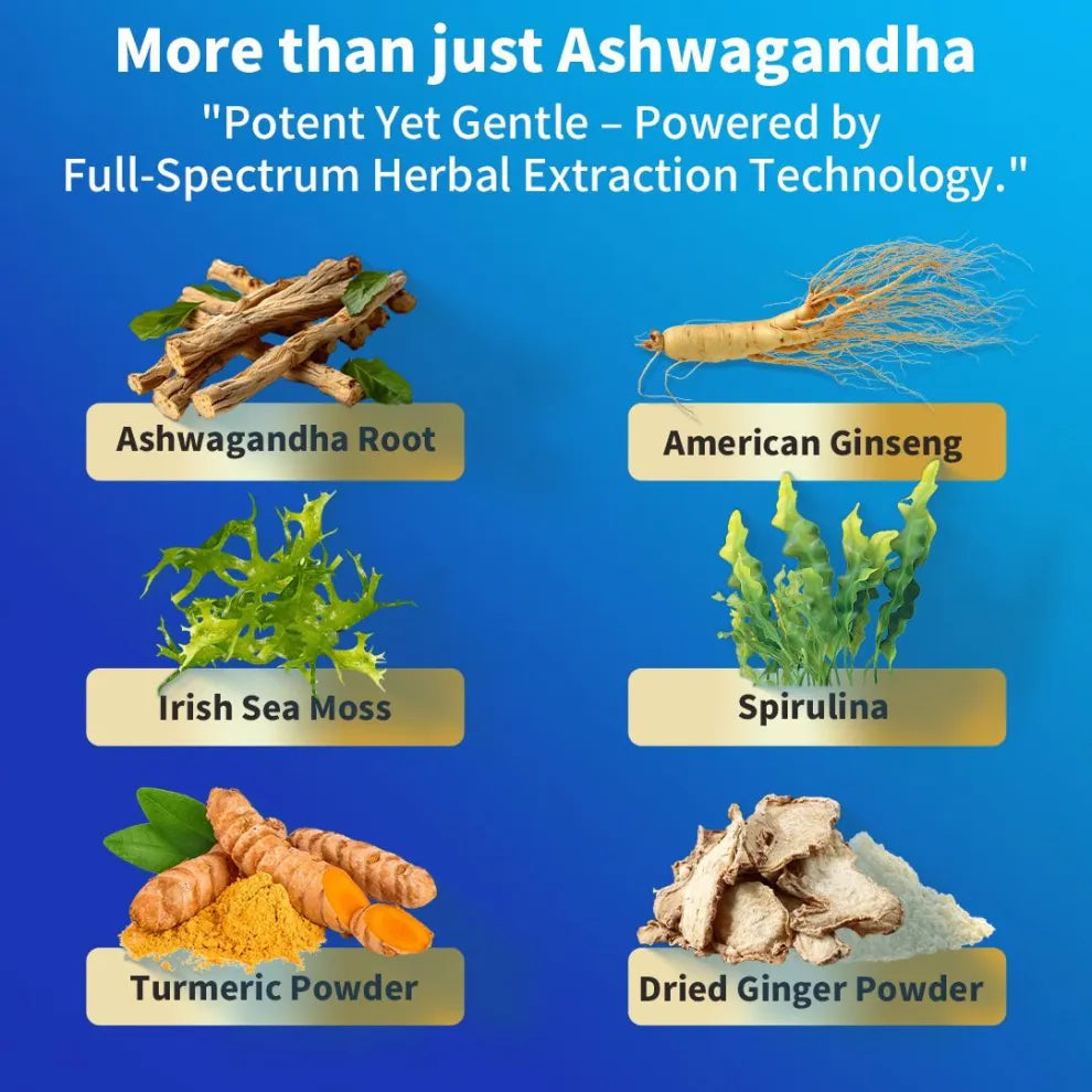 VIPEASY® ASHWAGANDHA PLUS Supplement -3Pack