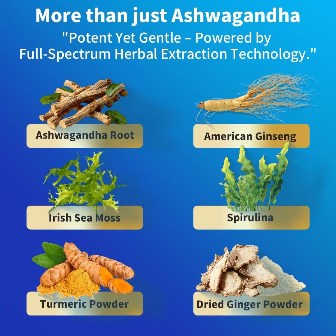 VIPEASY ASHWAGANDHA PLUS